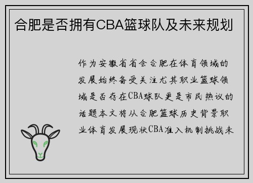 合肥是否拥有CBA篮球队及未来规划
