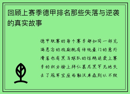 回顾上赛季德甲排名那些失落与逆袭的真实故事